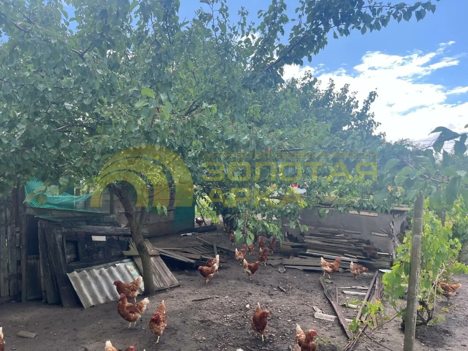 участок