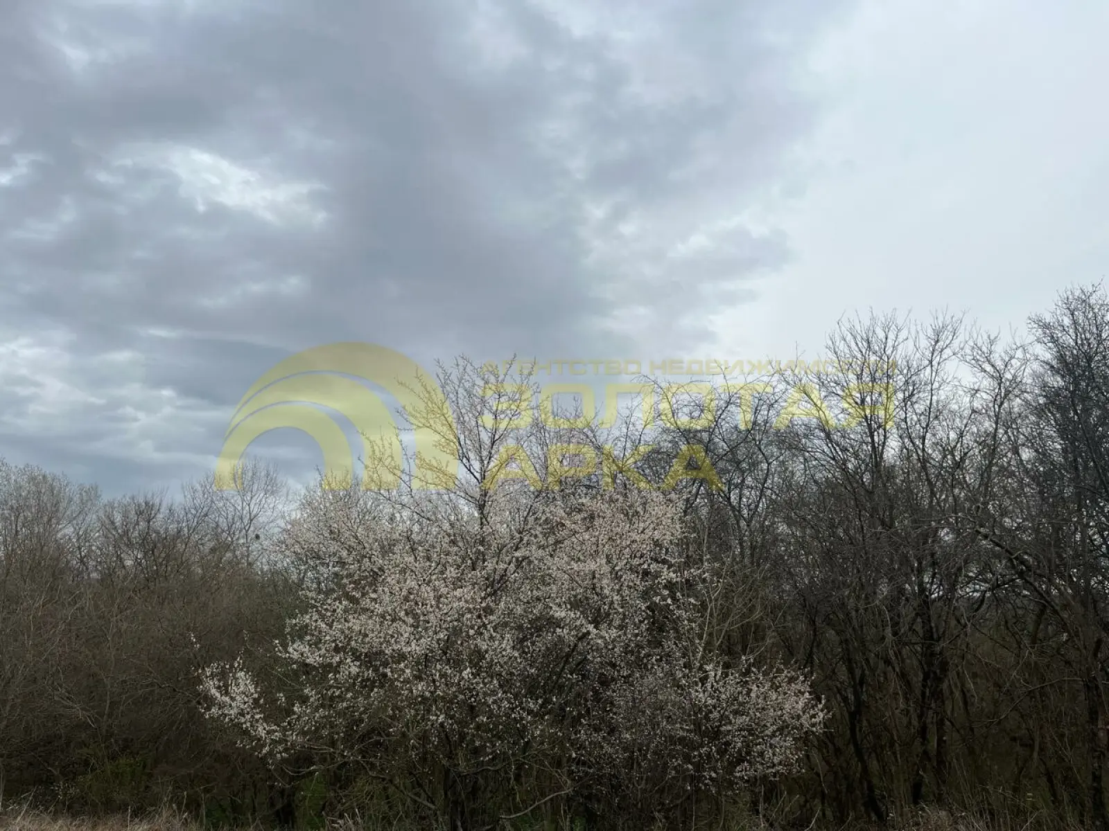участок