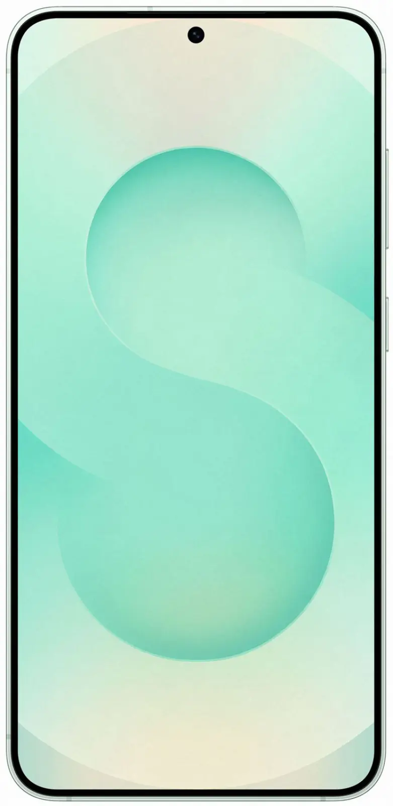 Смартфон Samsung Galaxy S25+ 5G 12+512GB Мятный