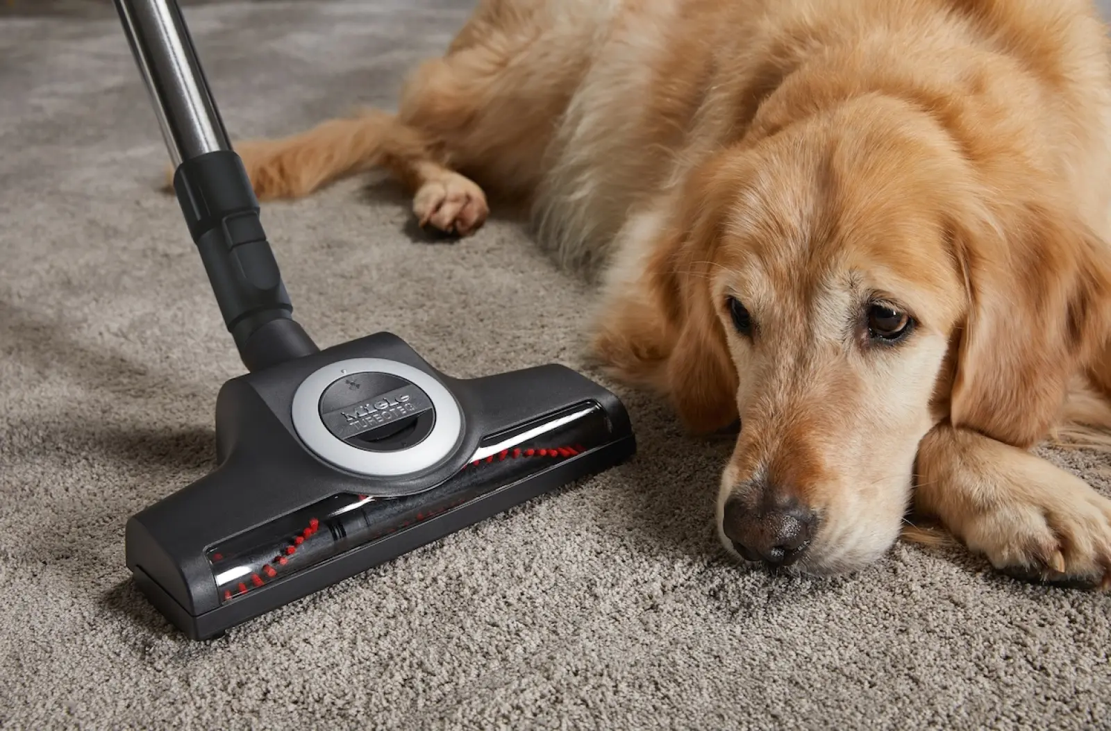 Пылесос напольный Miele BOOST CX1 CAT DOG PowerLine серый