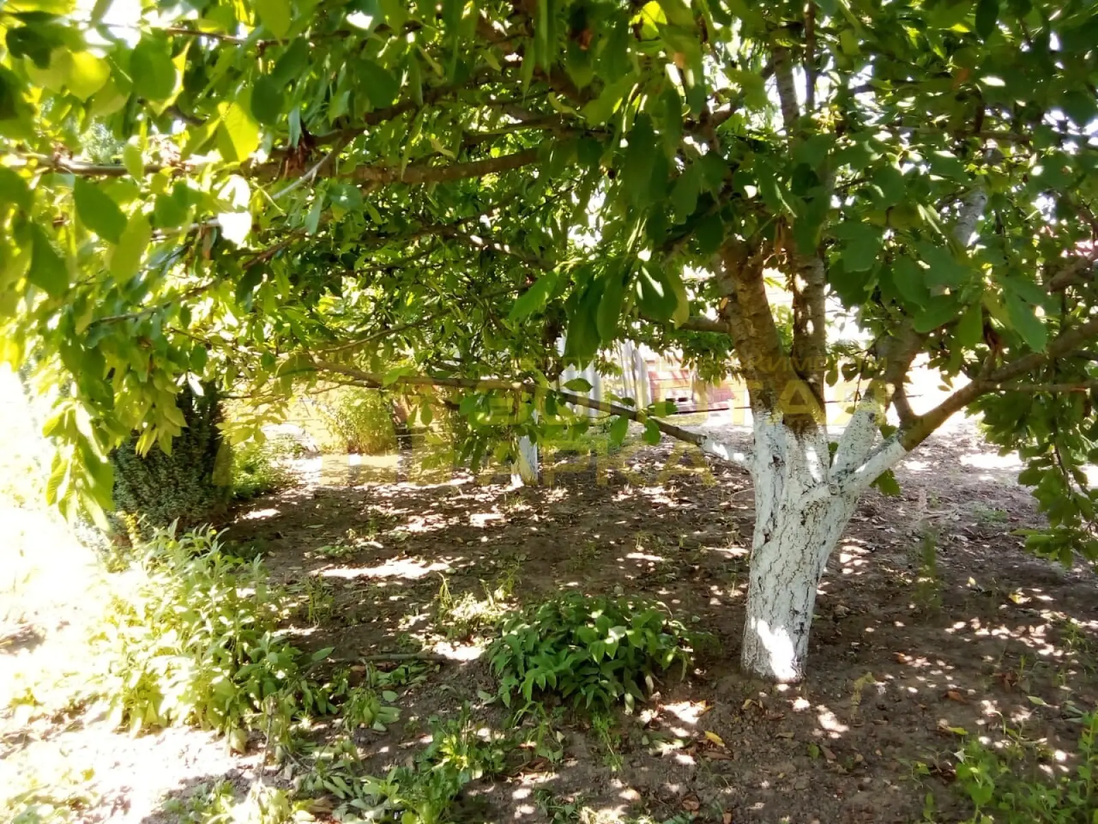 участок