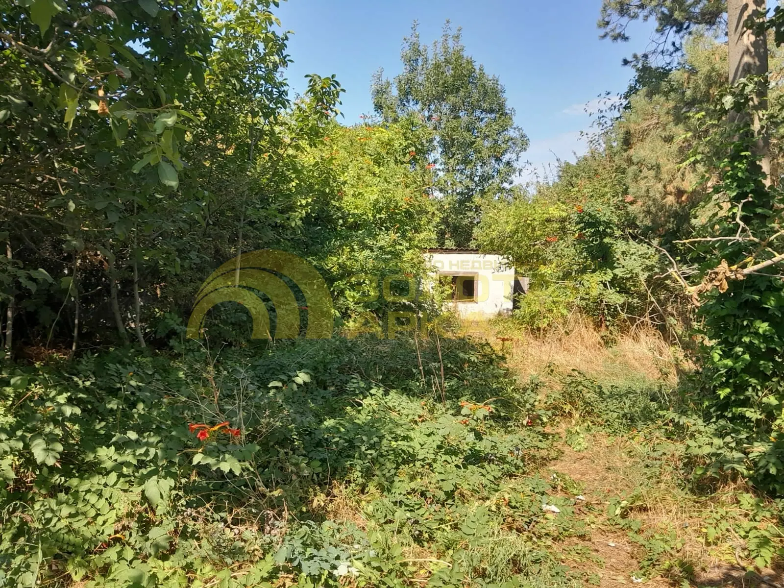 дом