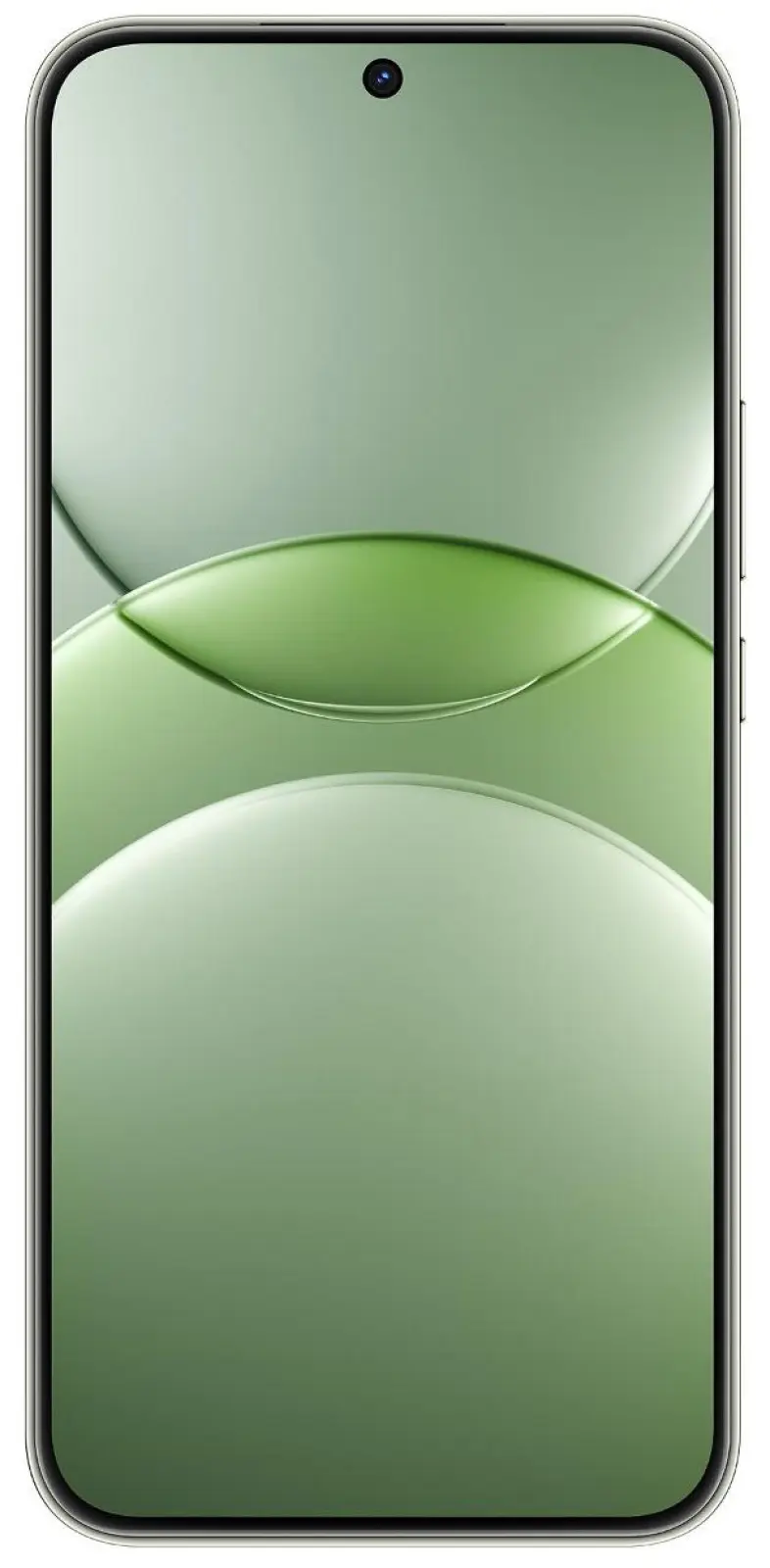 Смартфон Huawei nova 13 512GB Loden Green