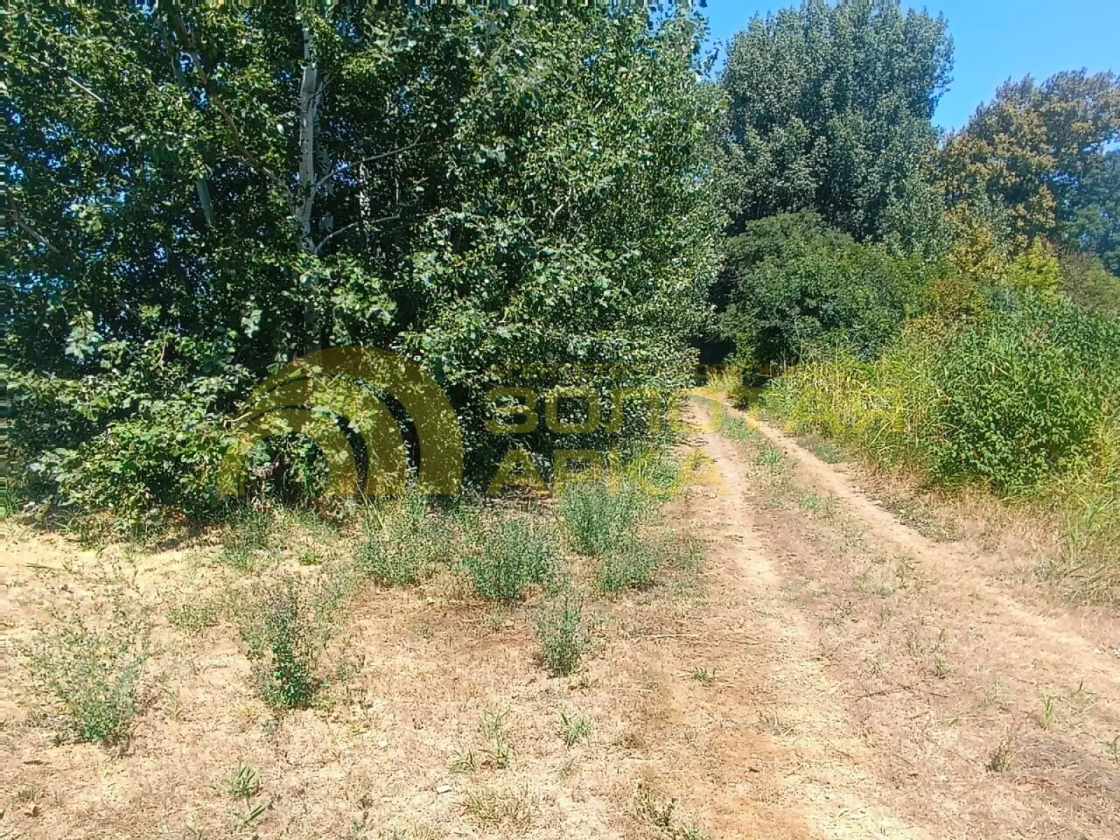 участок