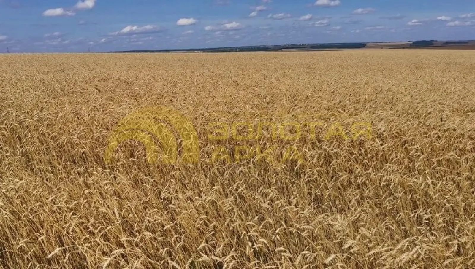 участок