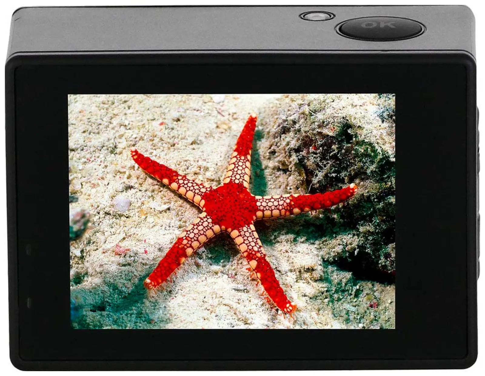 Экшн-камера  SJCam SJ4000 DUAL SCREEN, черный