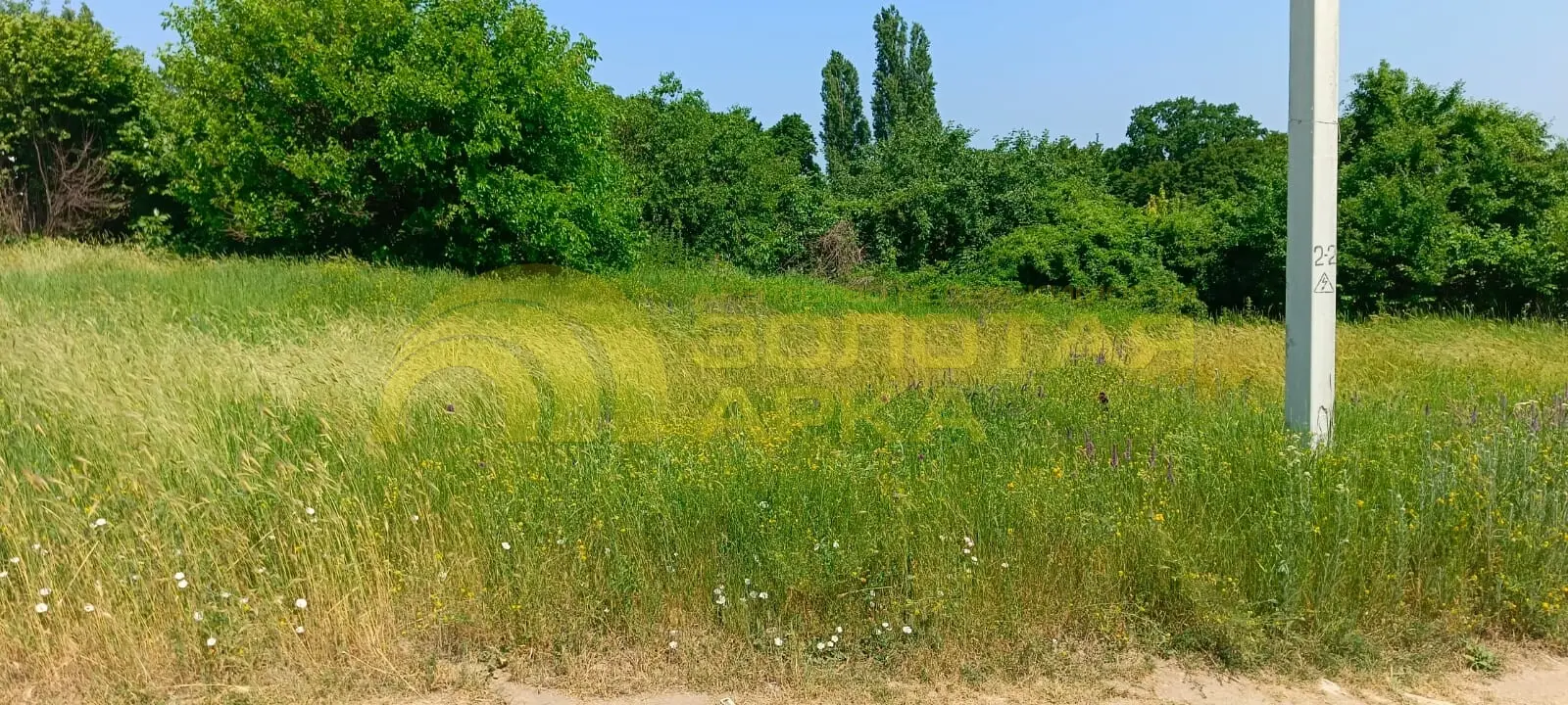 участок