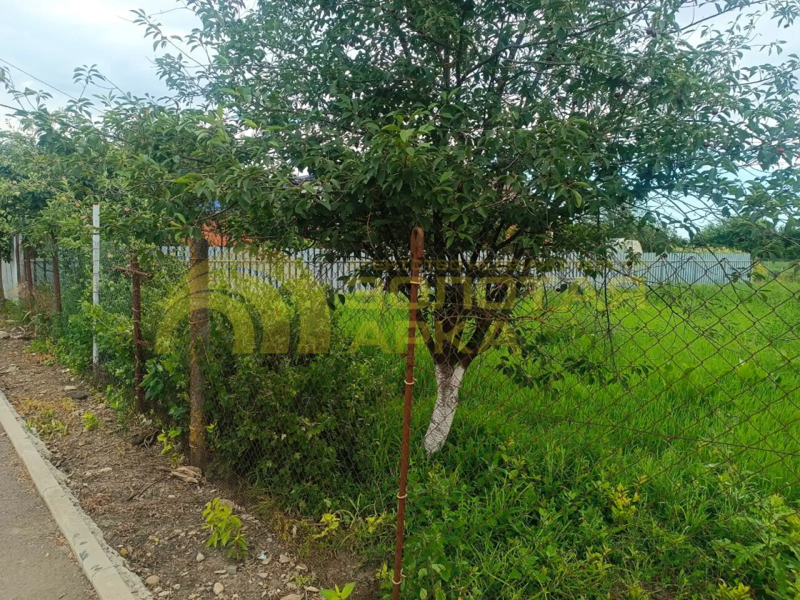участок