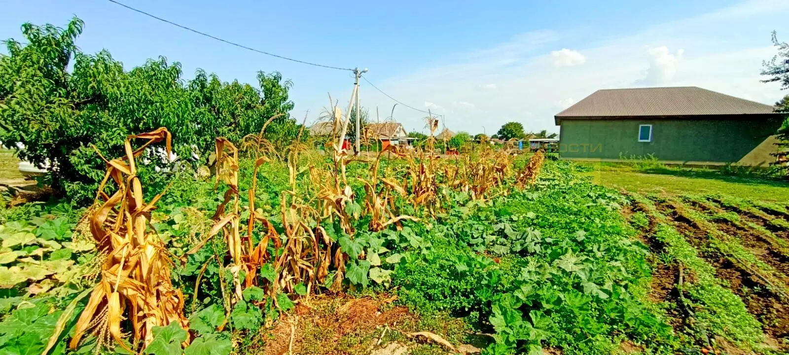 участок