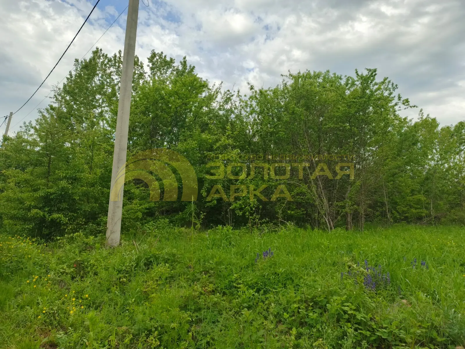 участок