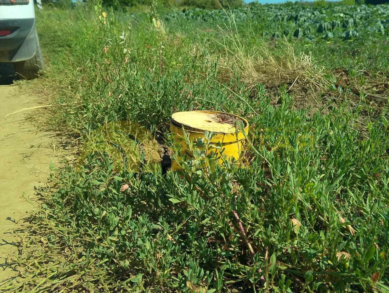 участок