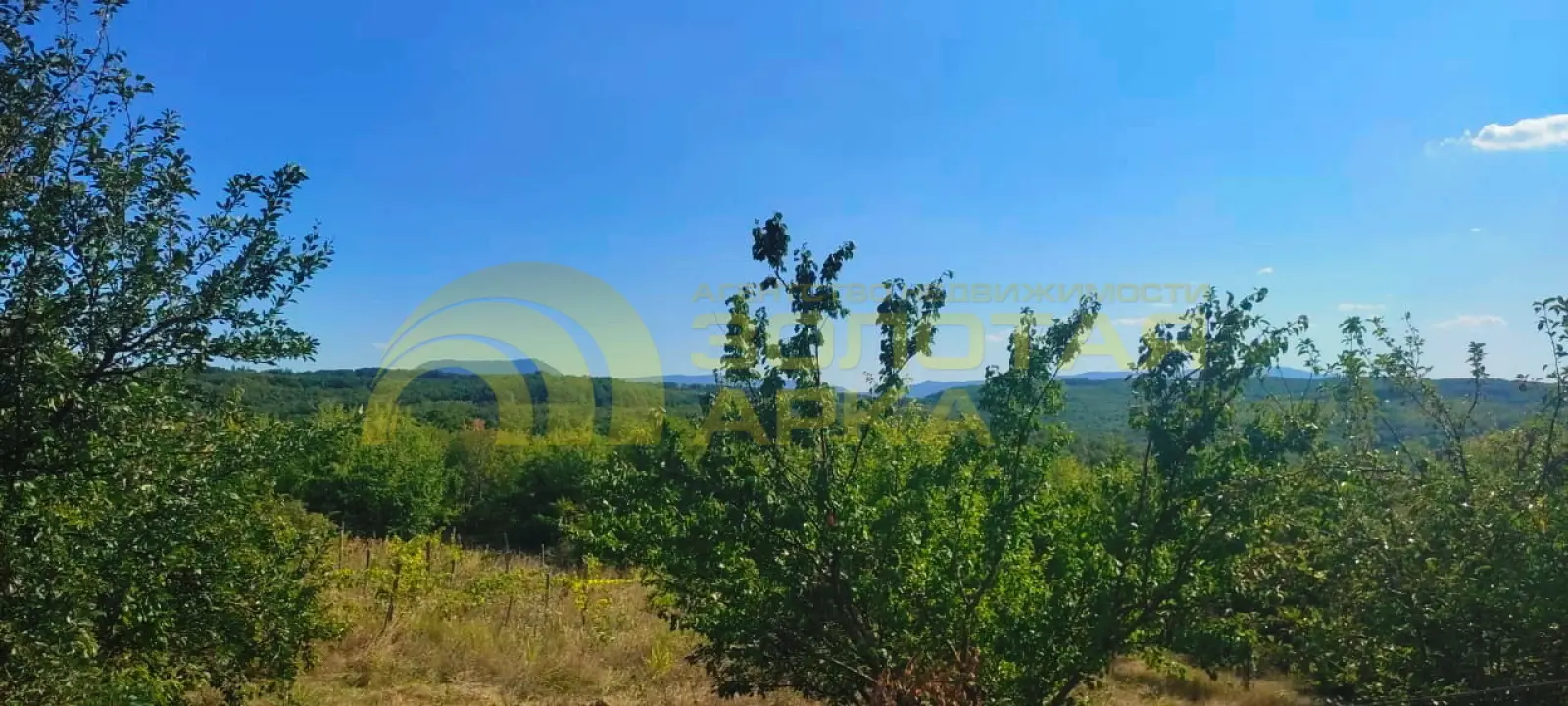 участок