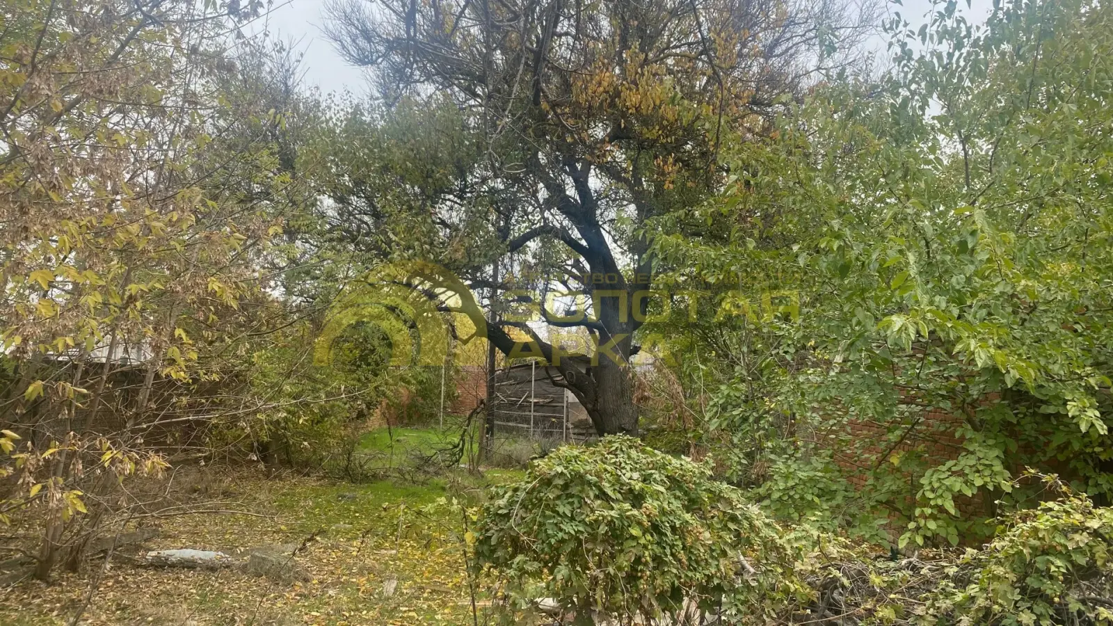 участок