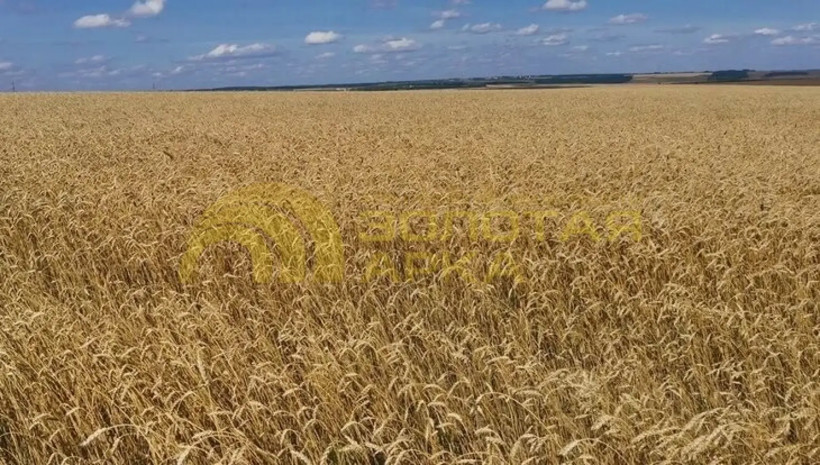 участок
