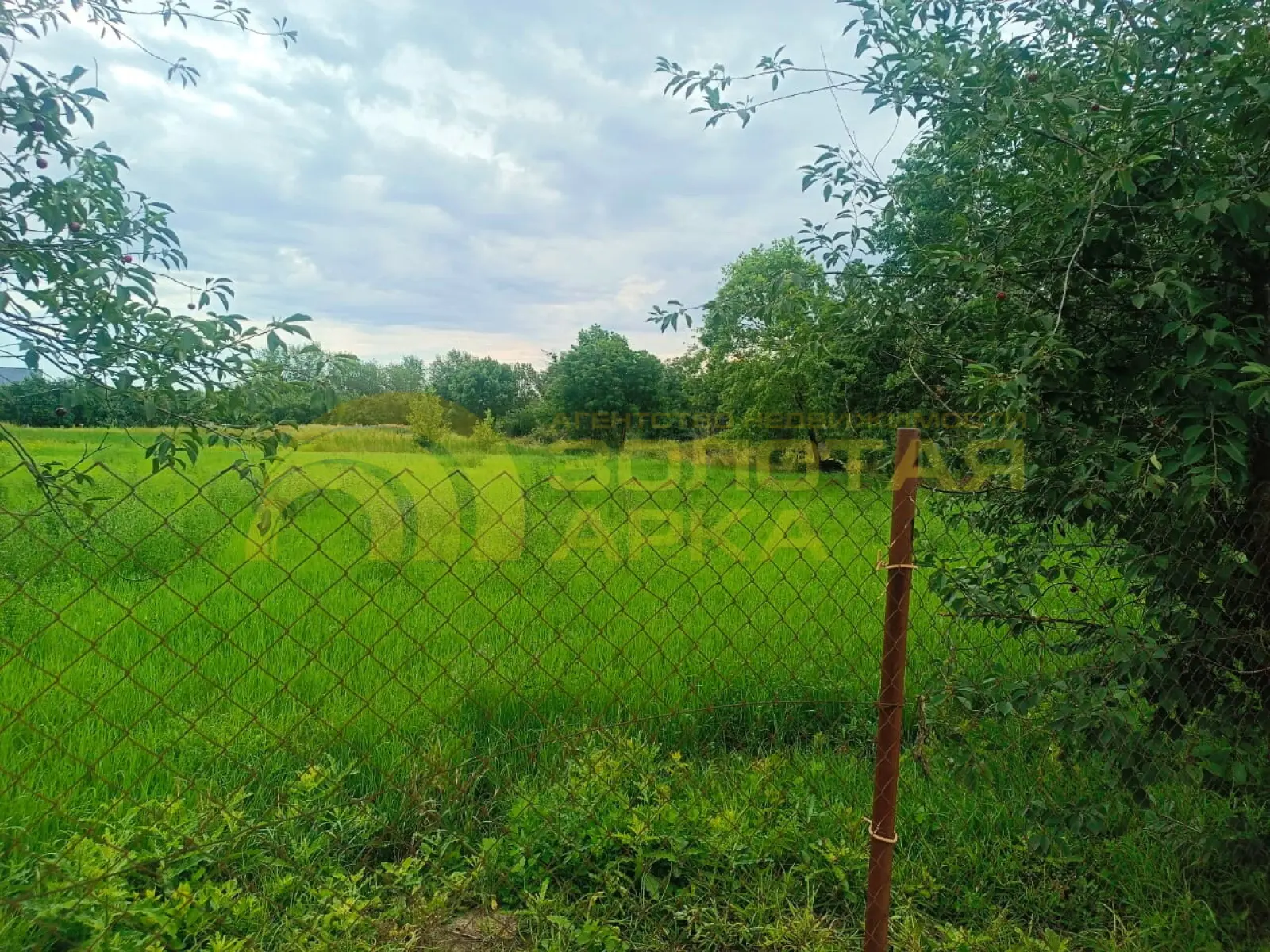 участок