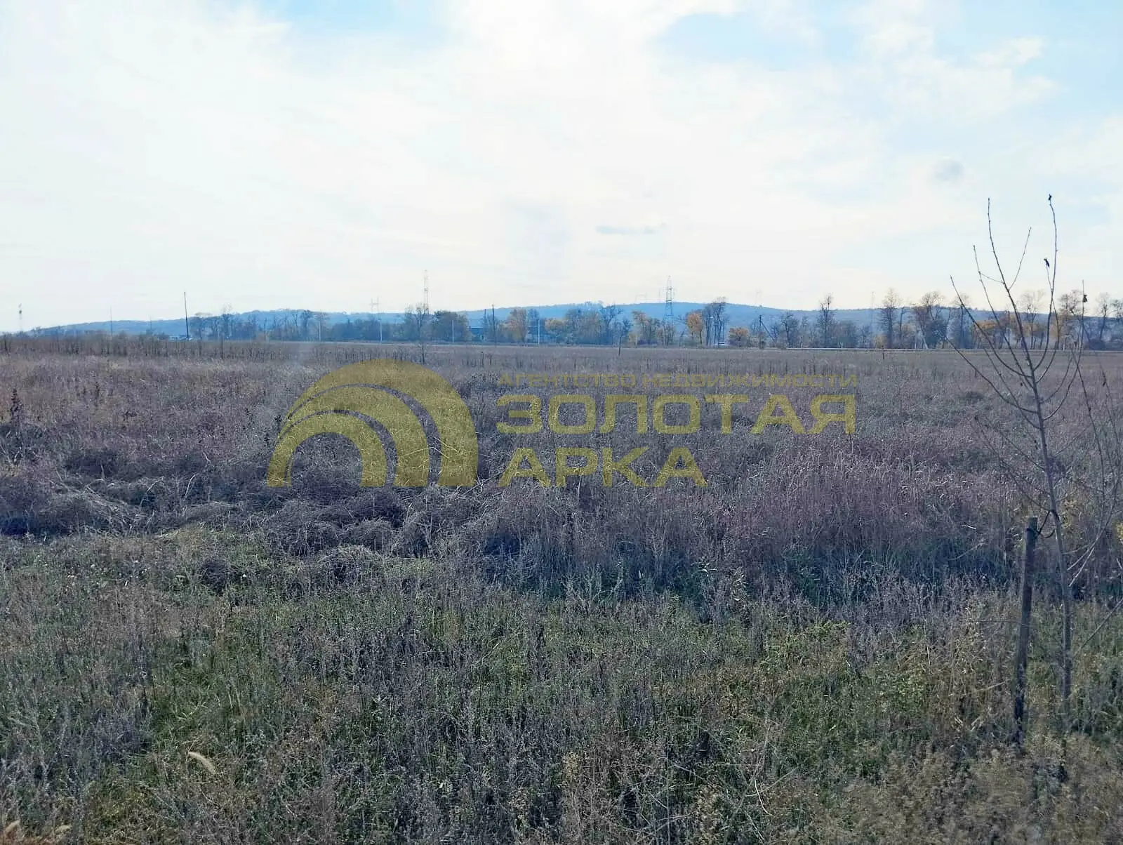 участок