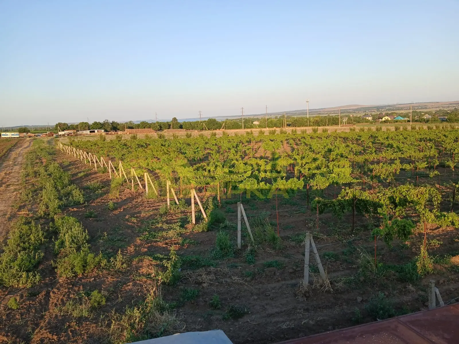 участок
