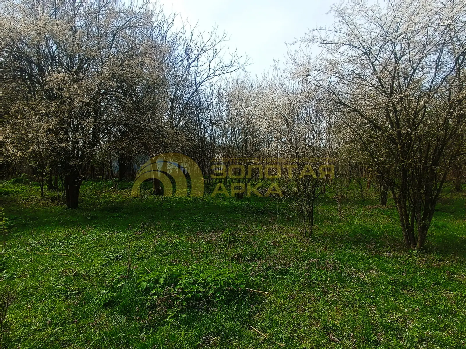 участок