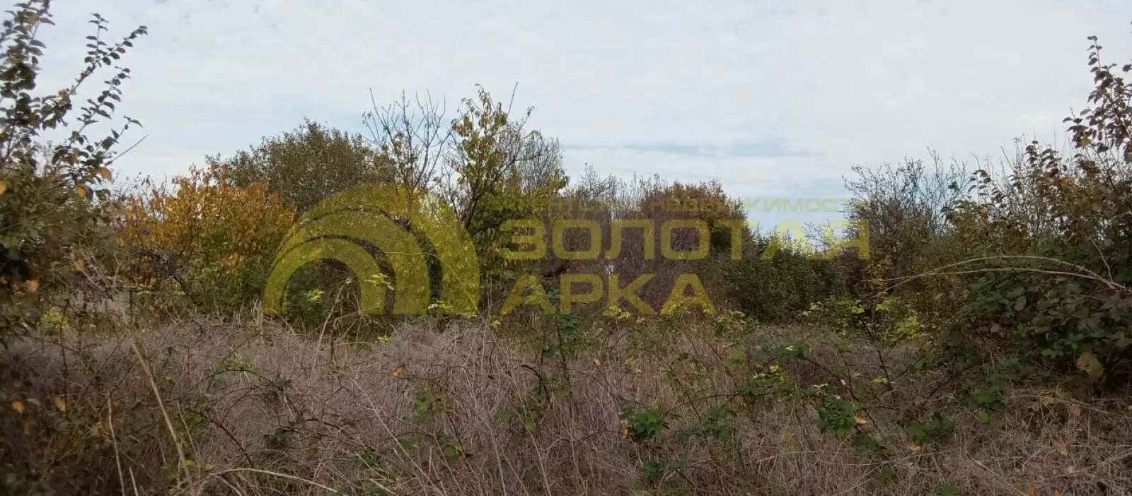 участок