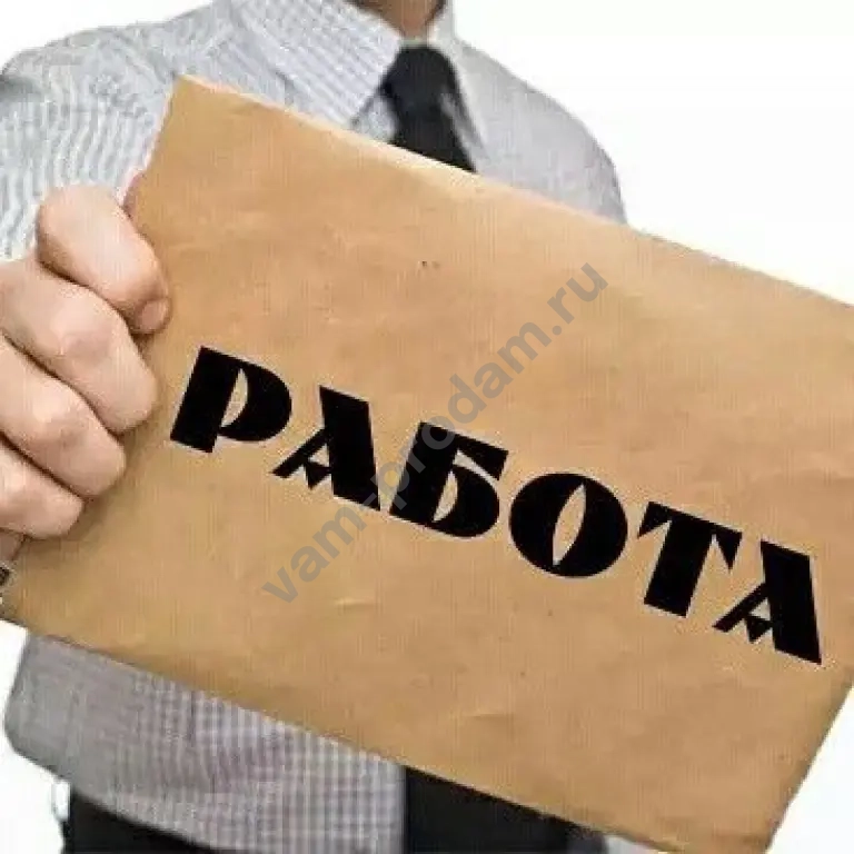Делопроизводитель (стажёр / помощник)