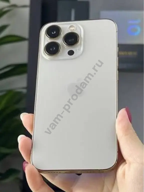 iPhone 13