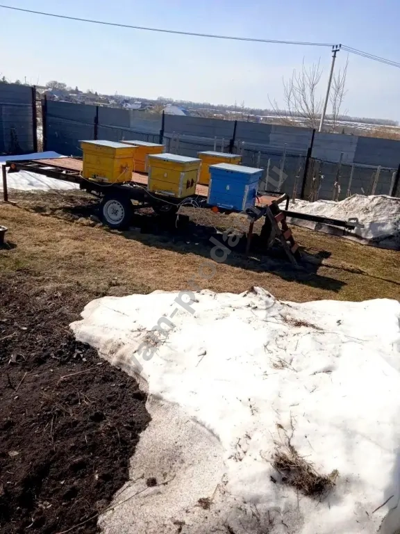 прицеп легковой для пчёл б/у