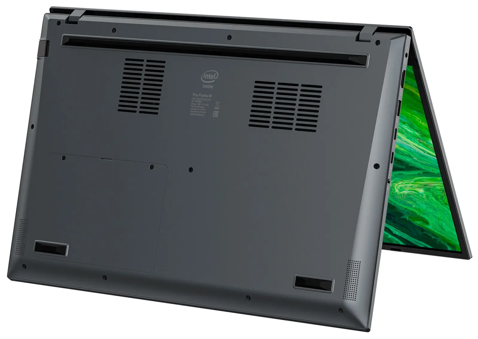 Ноутбук Digma Pro Fortis M (DN15P7-ADXW04), серый