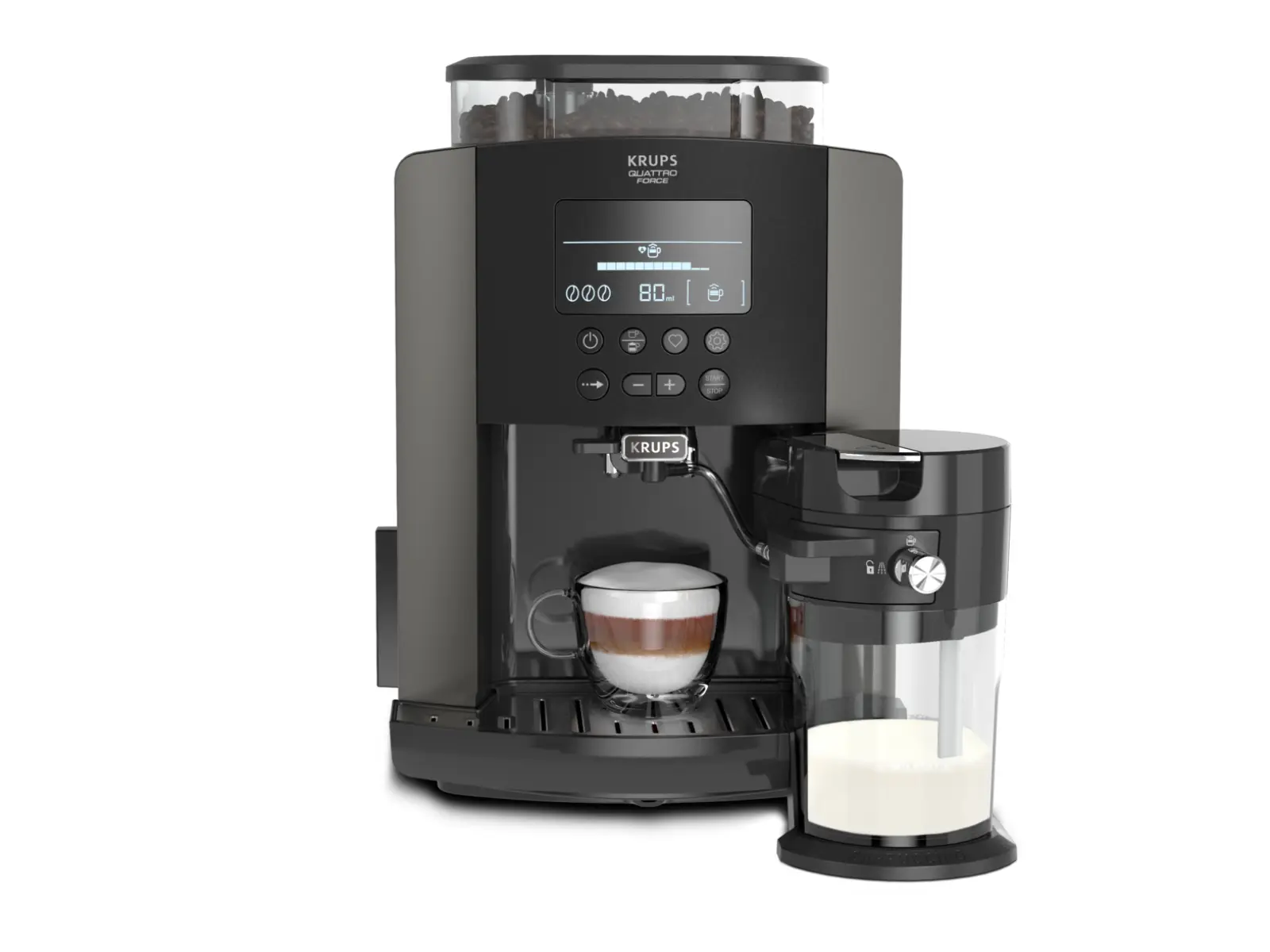 Arabica