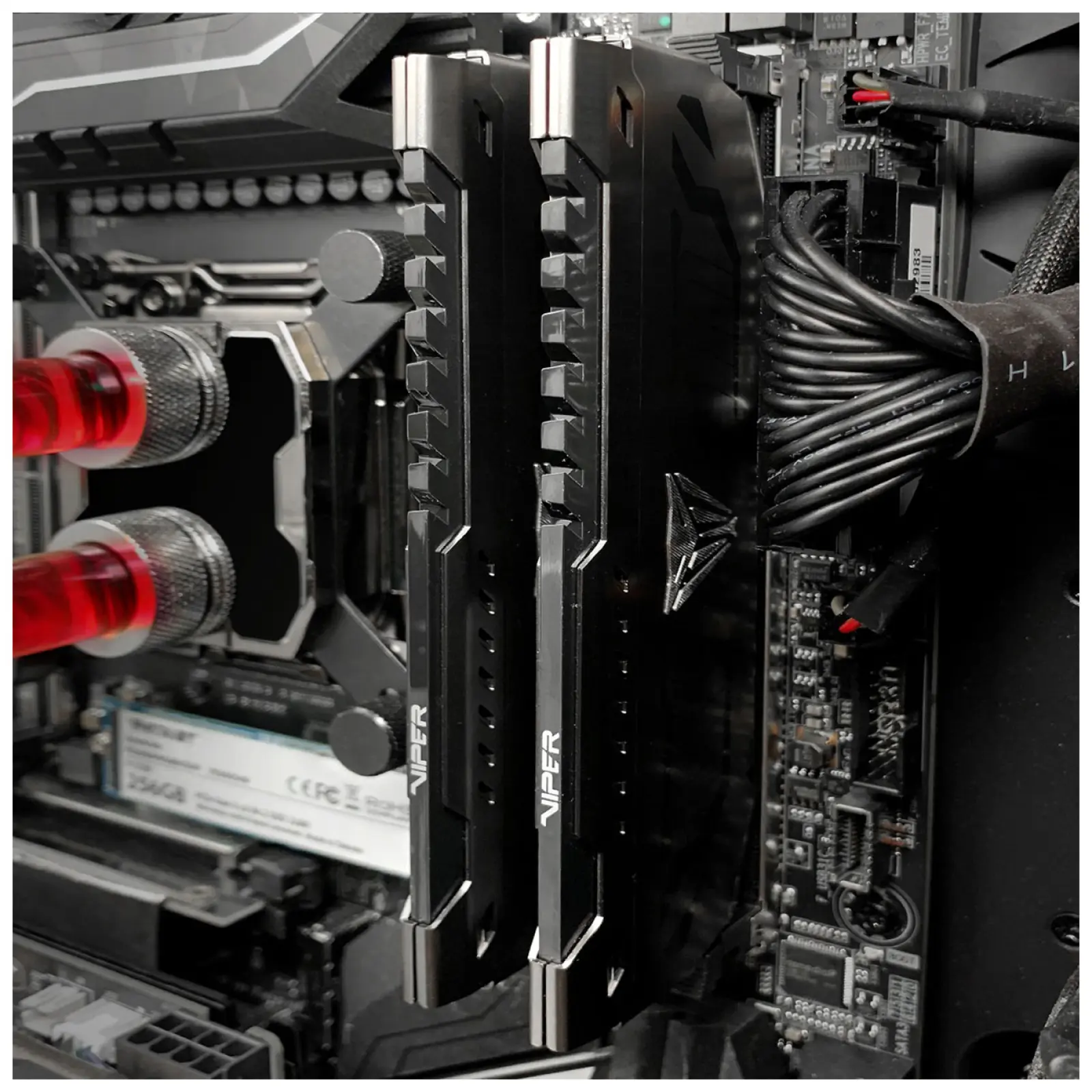 Оперативная память Patriot Memory DDR4 32GB (2x16GB) 3600MHz Viper (PVS432G360C8K)