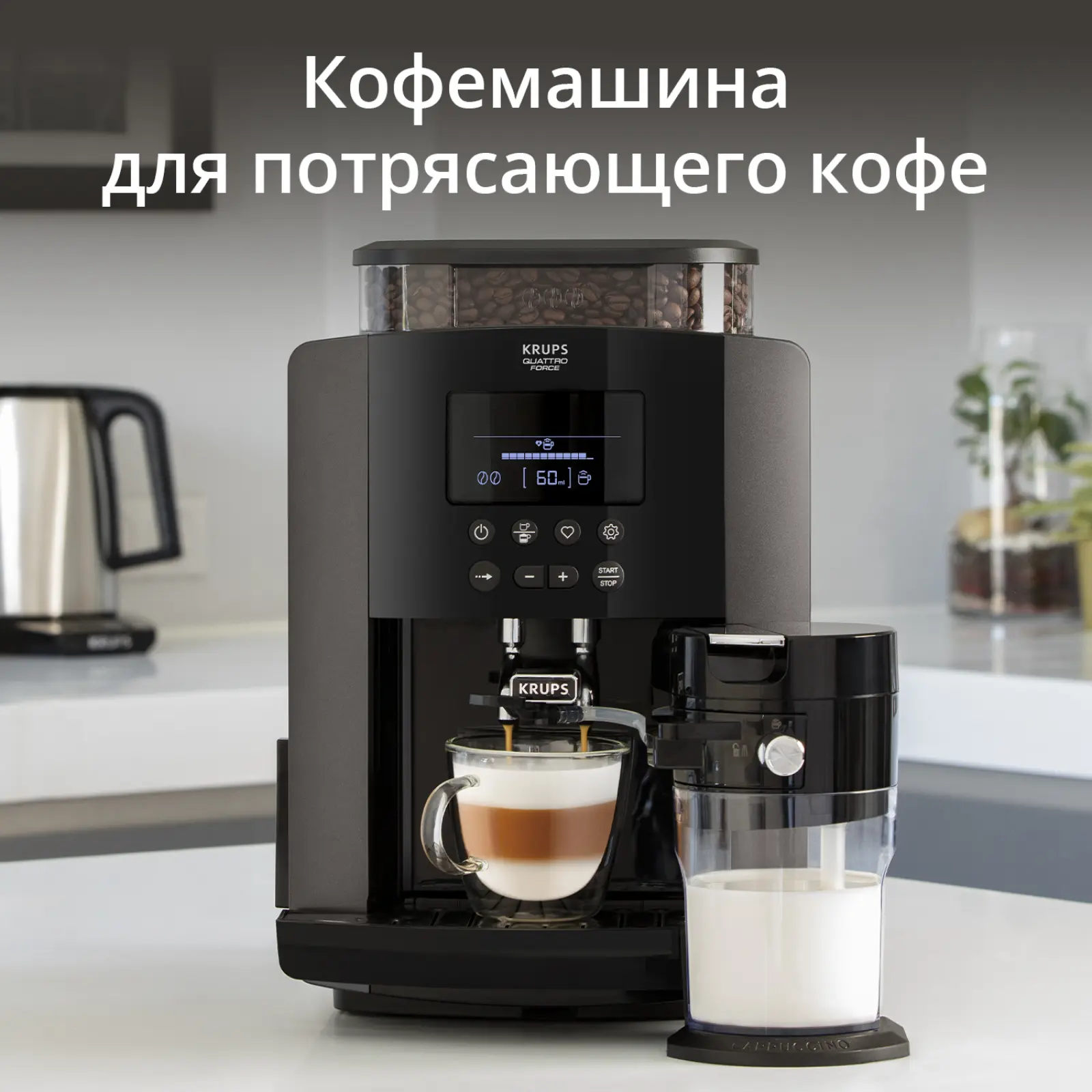 Arabica