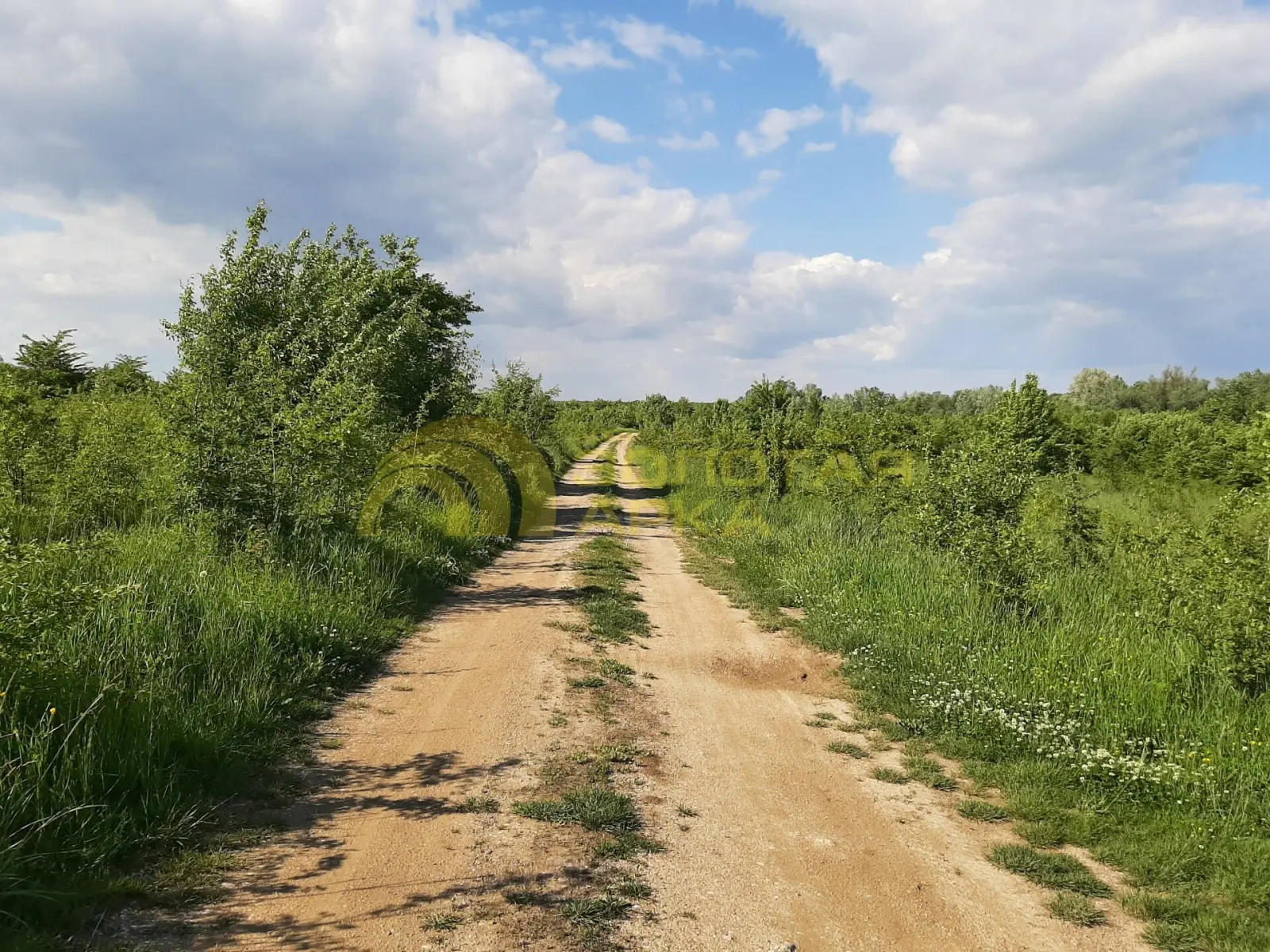 участок