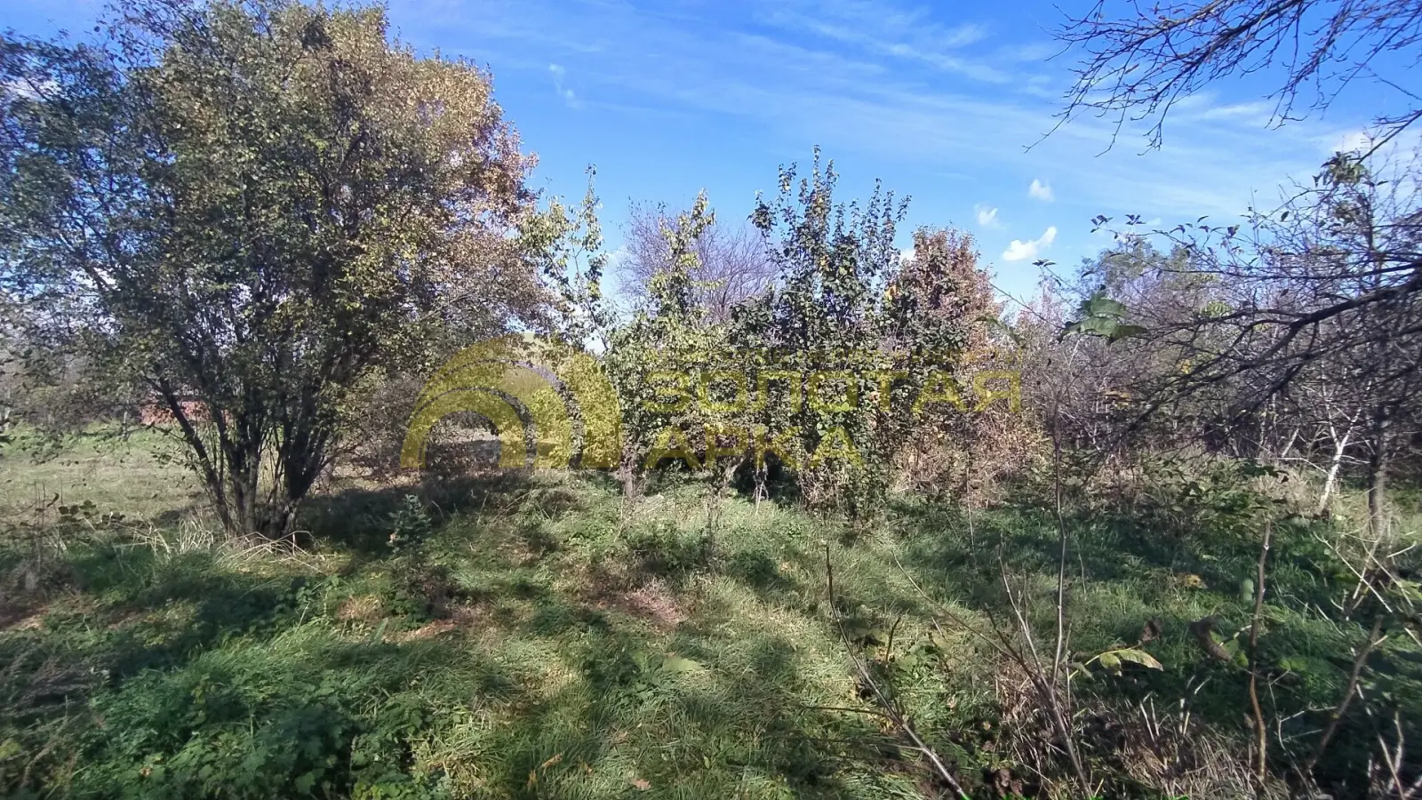 участок