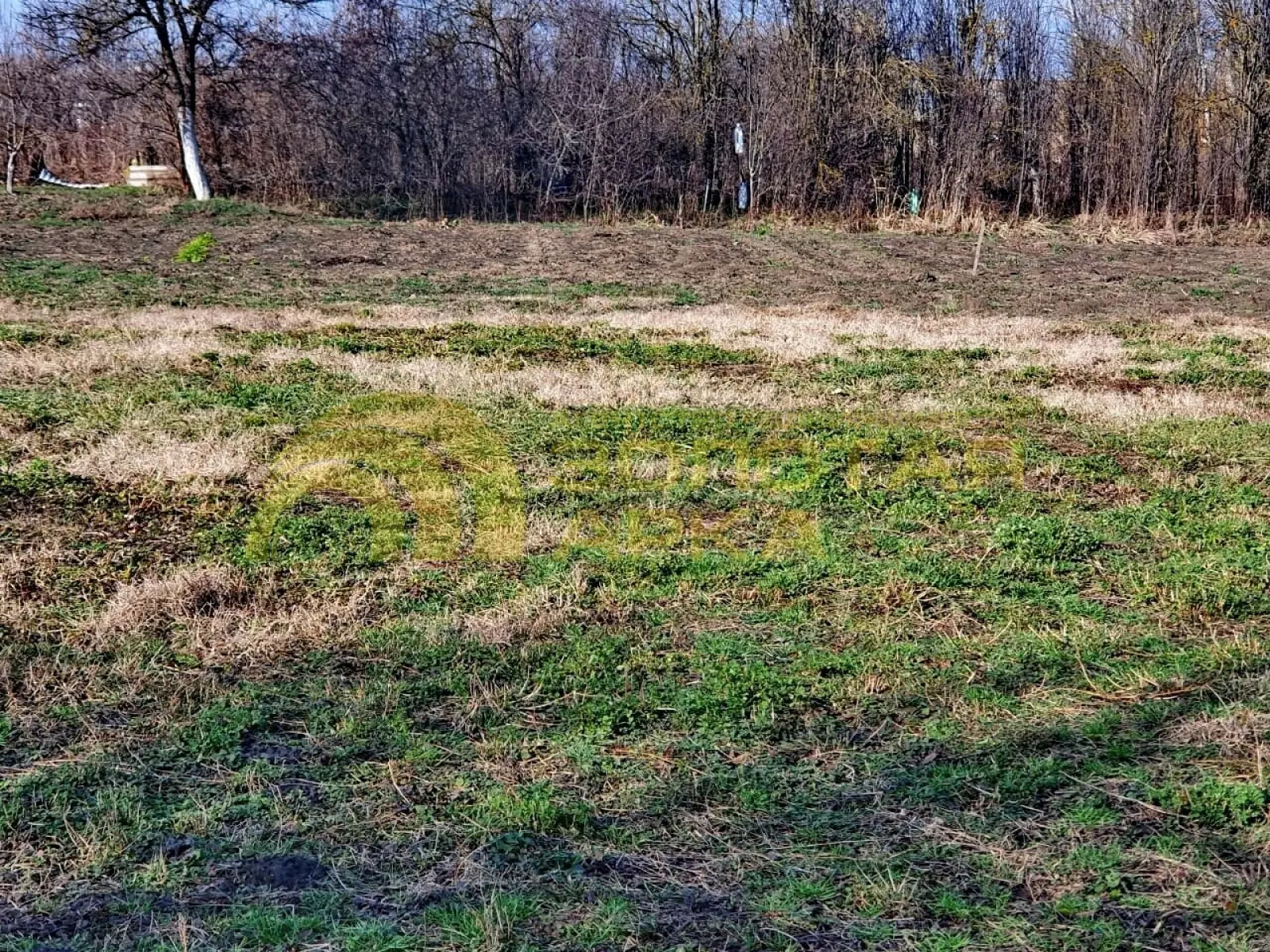 участок