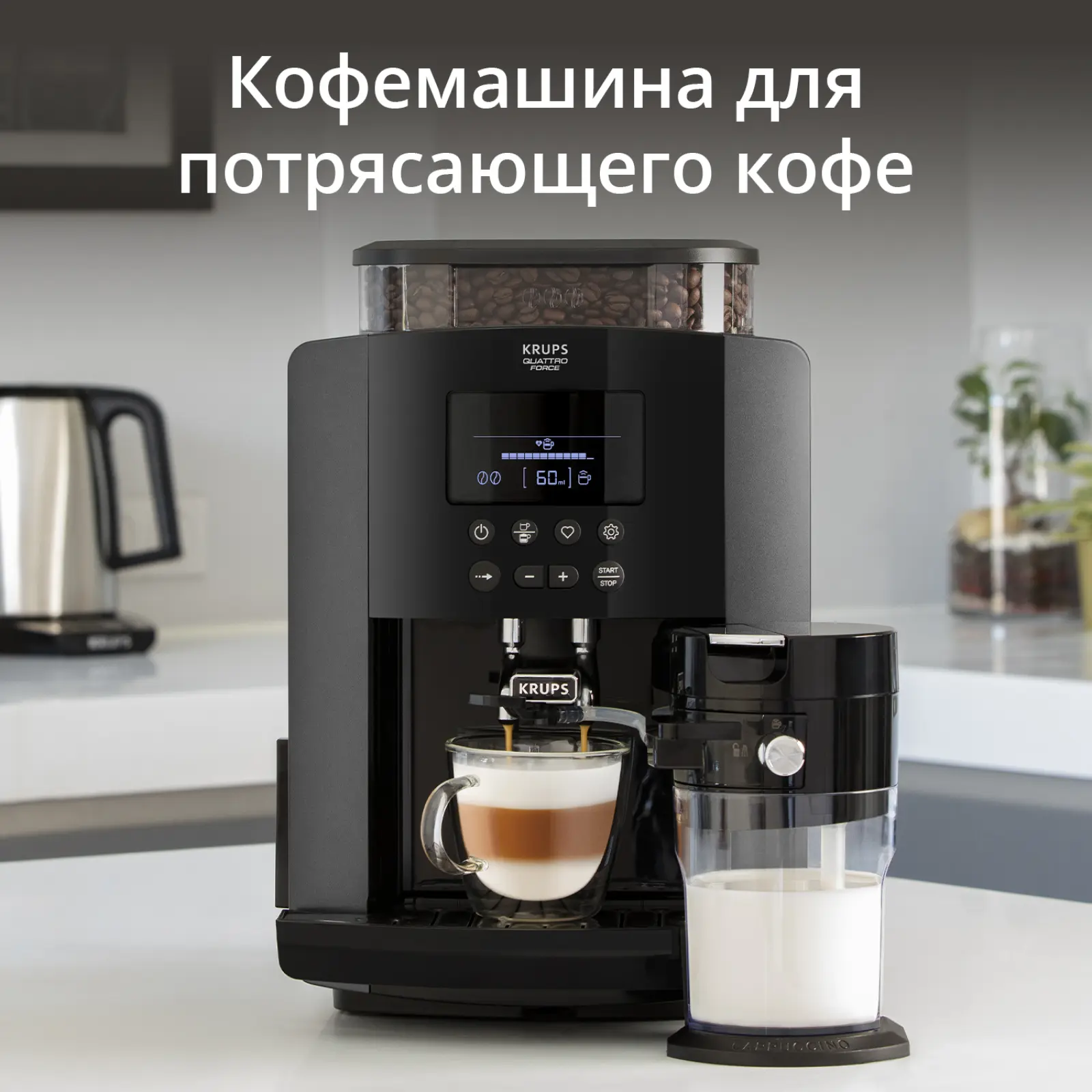Arabica
