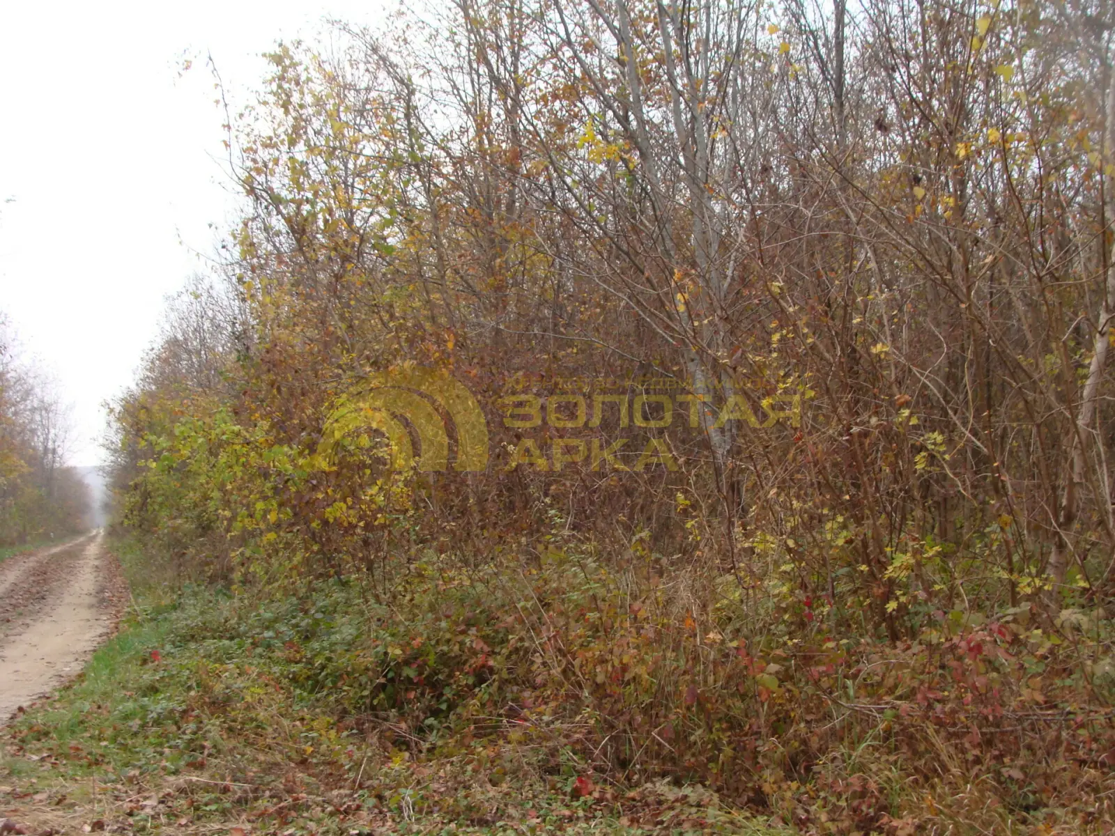 участок