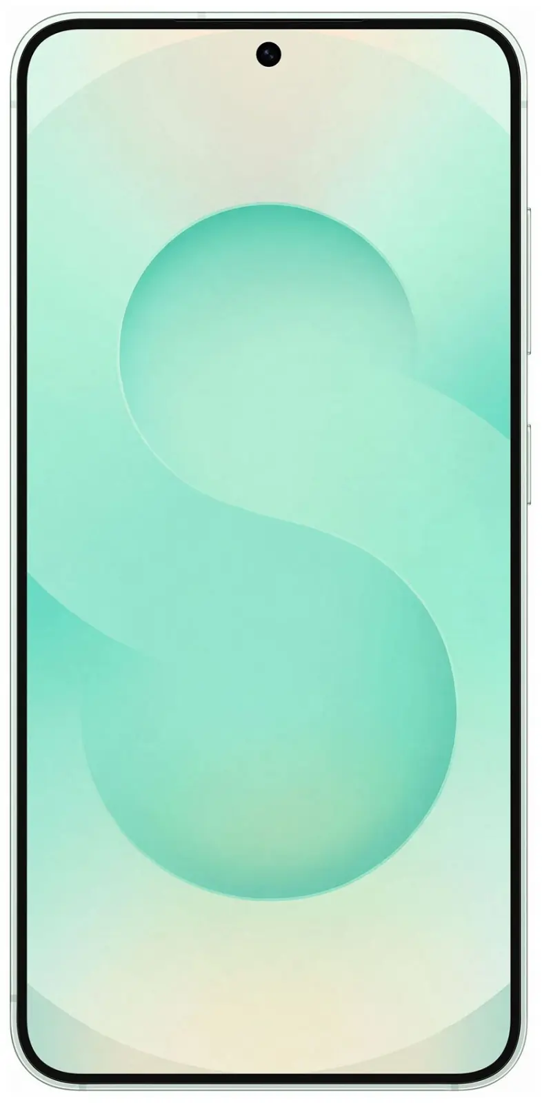 Смартфон Samsung Galaxy S25 5G 12+256GB Мятный