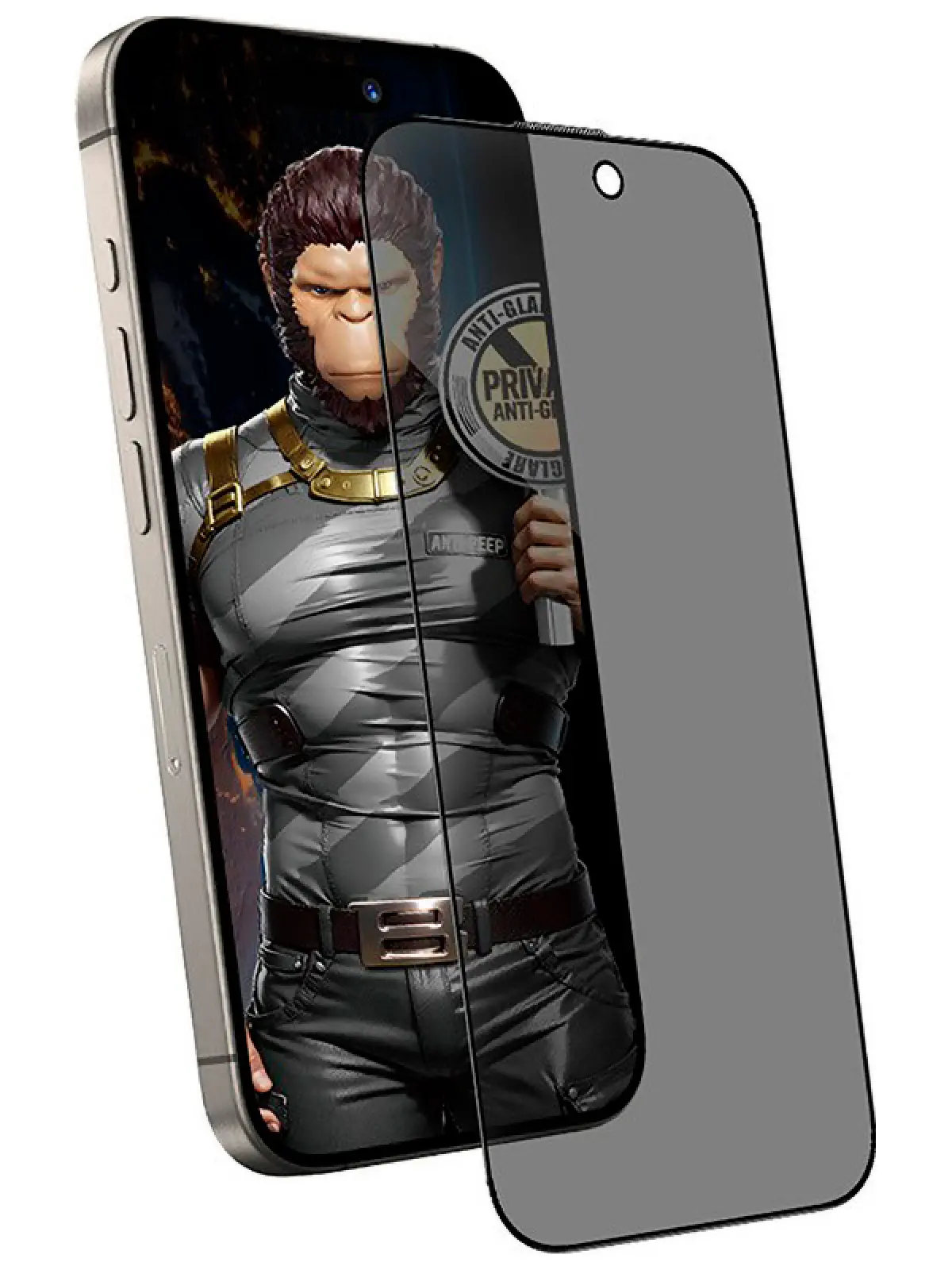 Защитное стекло Type Gorilla Full Cover Anti-Peep, Matte Glass, iPhone16 pro, 6.3, Black (NPG1-16P-BK)