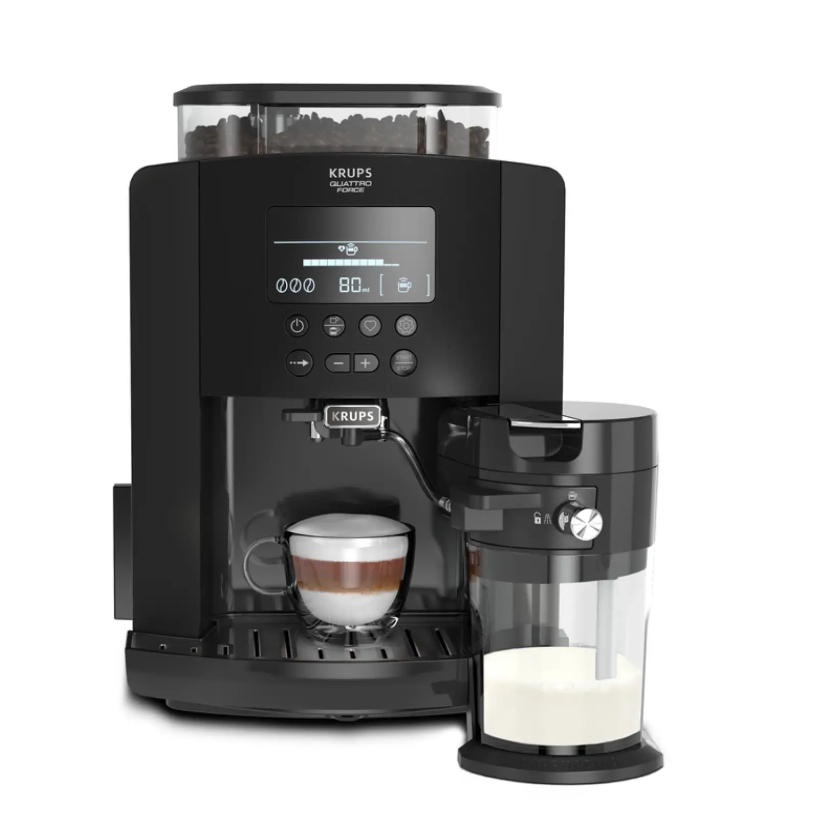 Arabica