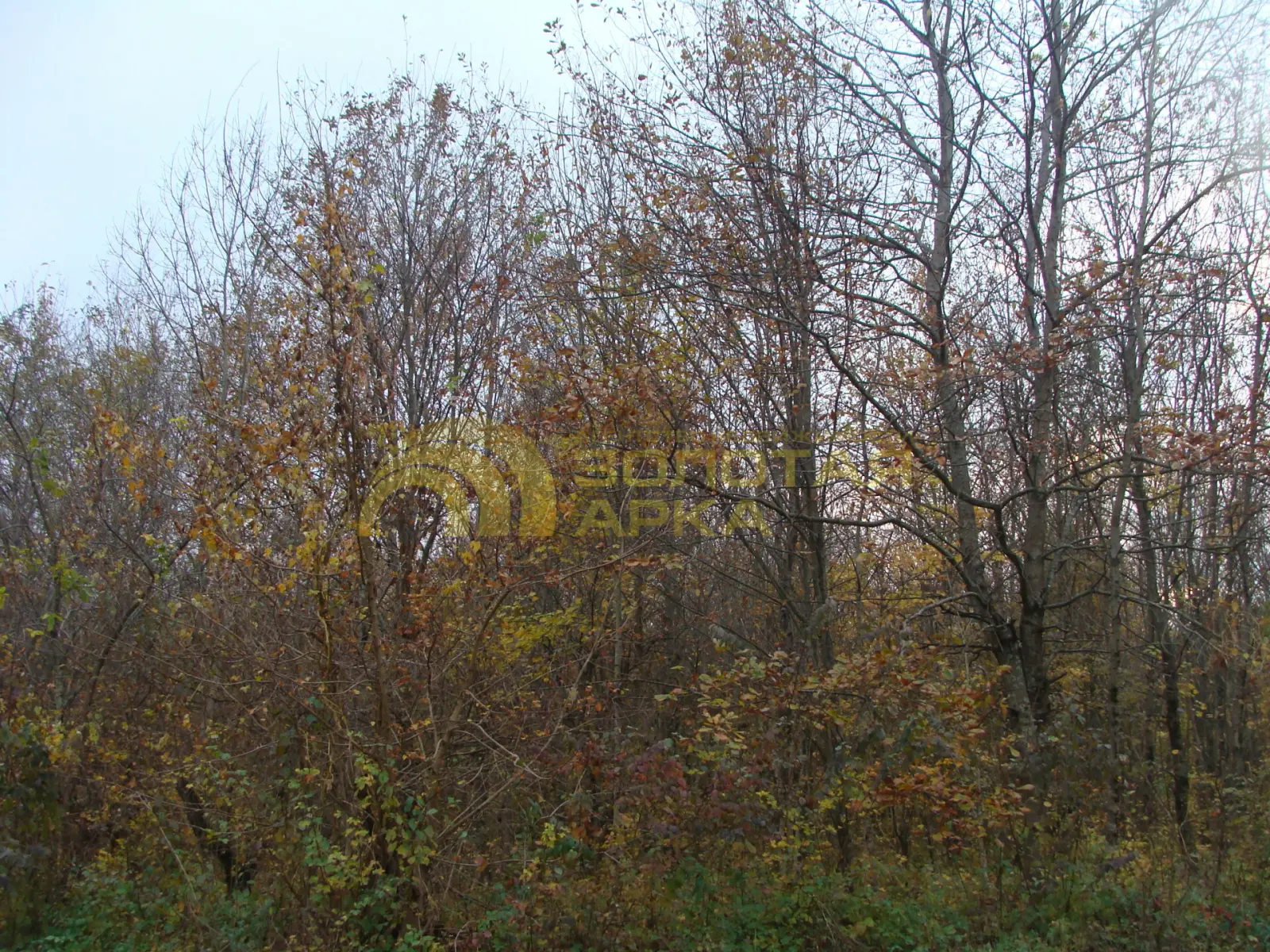 участок