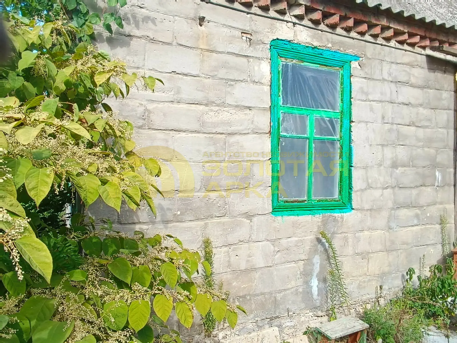 дом
