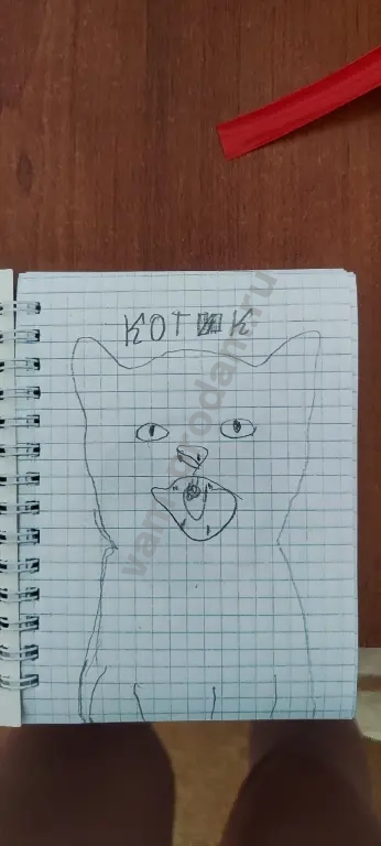 рисунки котиков