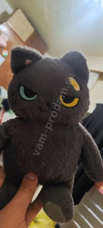 мягкий кот