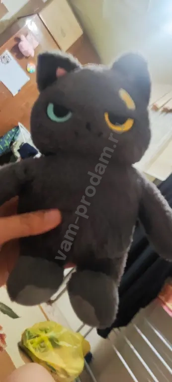 мягкий кот