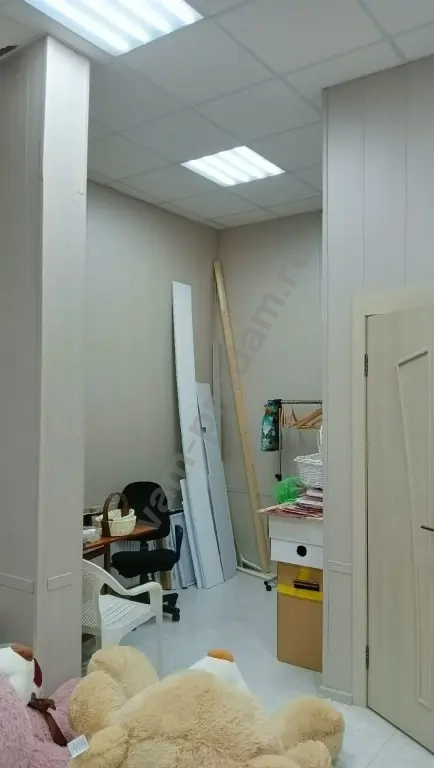 Помещение свободного назначения, 42 м², Собственник
