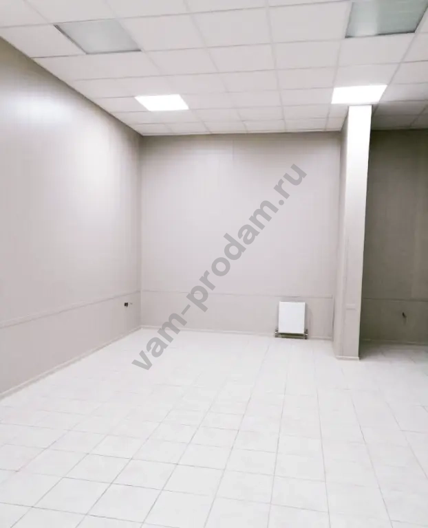 Помещение свободного назначения, 42 м², Собственник