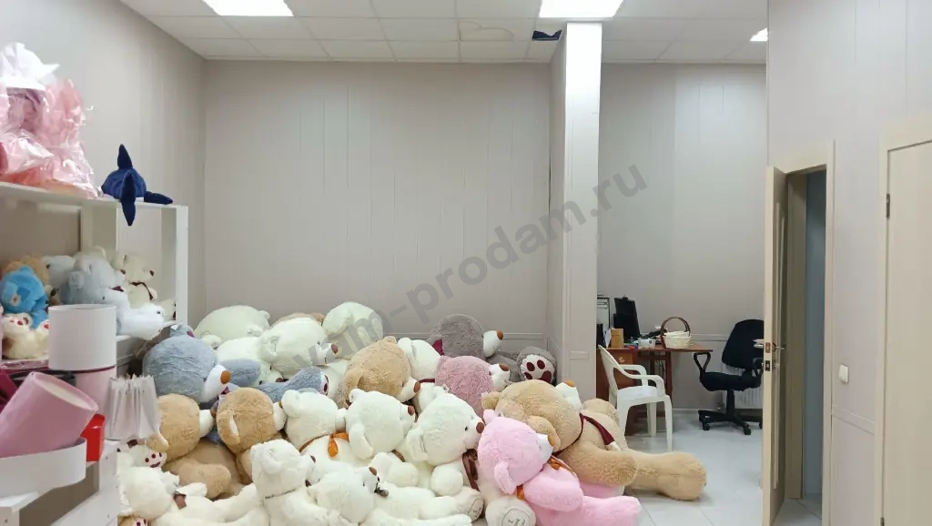 Помещение свободного назначения, 42 м², Собственник