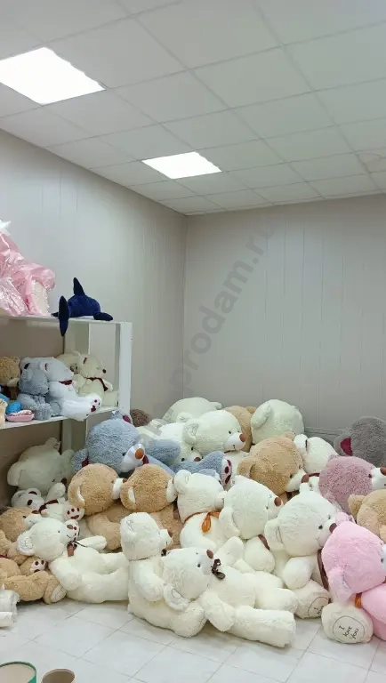 Помещение свободного назначения, 42 м², Собственник