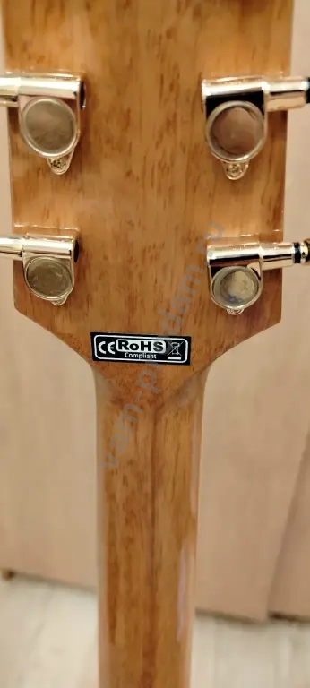 Гитара Takamine gd51
