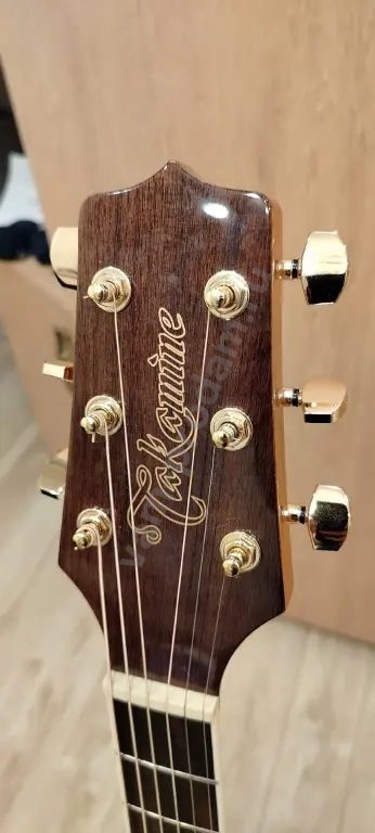 Гитара Takamine gd51