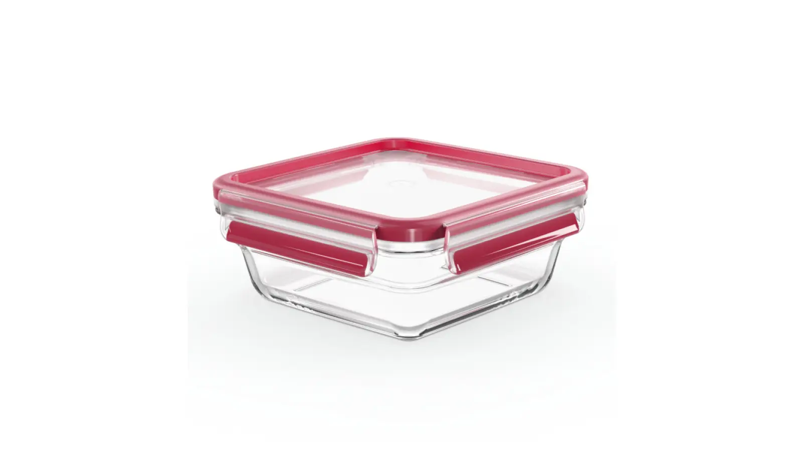 Masterseal Glass N1041410
